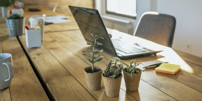 Objets publicitaires - Destressez ! Goodies bien-être au bureau | Krokrodeal Objets publicitaires - Destressez ! Goodies bien-être au bureau | Krokrodeal