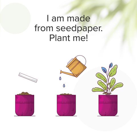 Seed Paper Bookmark marque page | Marque-page,arbre-et-plante pas cher