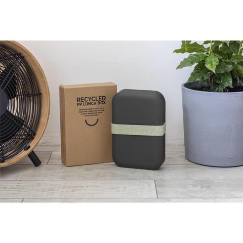 Recycled PP Lunch Box Large | Krokrodeal