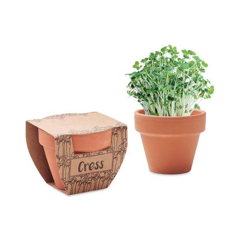 Pot avec graines de cresson - Cress pot | Arbre-et-plante pas cher