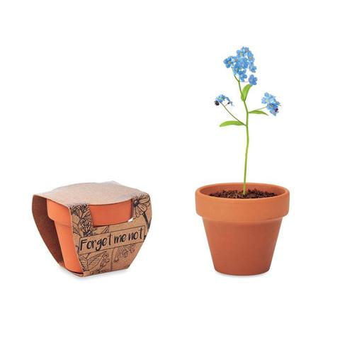 Pot graines de myosotis - Forget me not | Krokrodeal