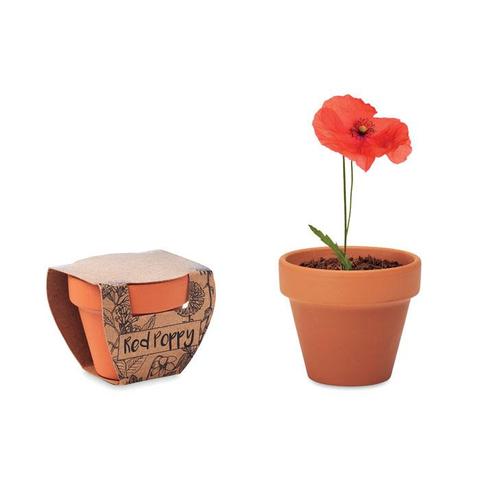 Pot graines de coquelicot - Red poppy | Arbre-et-plante pas cher