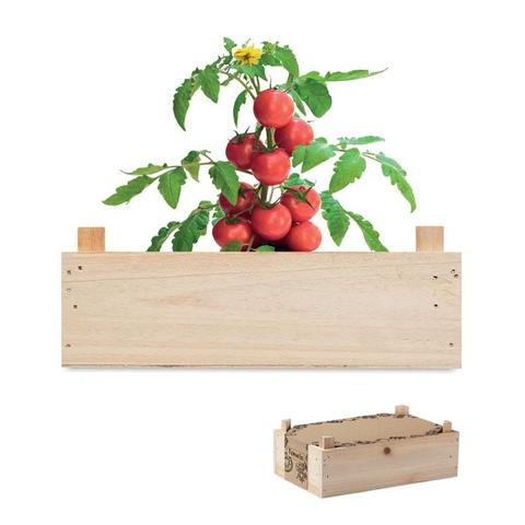 Graines de tomates dans caisset - Tomato | Arbre-et-plante pas cher