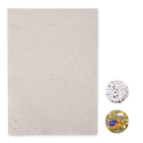 Papier A4 graines de fleurs - Asidi | Arbre-et-plante pas cher