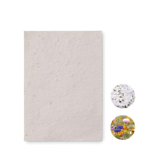 Papier A6 graines de fleurs - Asido | Arbre-et-plante pas cher