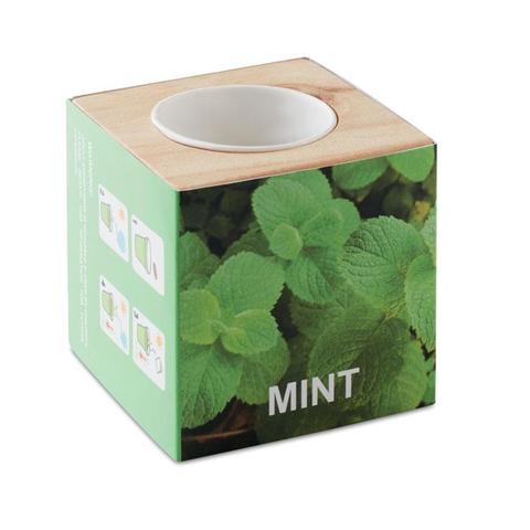 Pot en bois avec graine Menthe - Menta | Arbre-et-plante pas cher