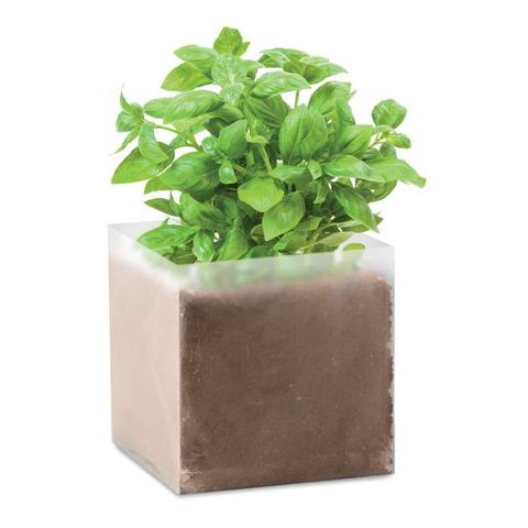 Substrat avec graines Basilic. - Basil | Arbre-et-plante pas cher