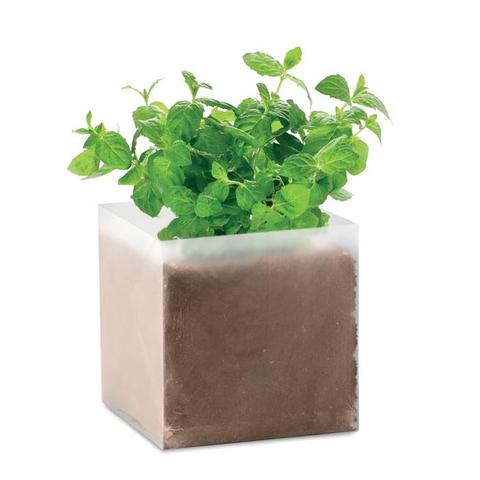 Substrat avec graines Menthe - Mint | Arbre-et-plante pas cher