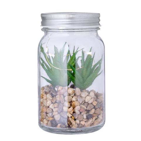 Plante Décorative Kyala | Krokrodeal