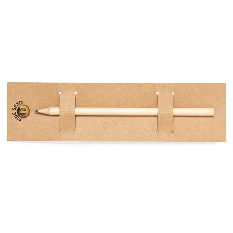 Crayon Ensemencé Etesio | Crayon pas cher