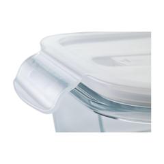 Vue Bintan Lunchbox de couleur translucide| Krokrodeal