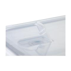 Vue Bintan Lunchbox de couleur translucide| Krokrodeal