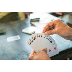 Vue Dutch Playing Cards jeu de cartes de couleur -| Krokrodeal