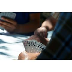 Vue Playing Cards jeu de cartes de couleur -| Krokrodeal