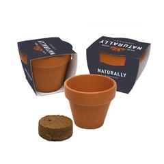 Vue Flowermix Terracotta graines de fleurs de couleur -| Krokrodeal