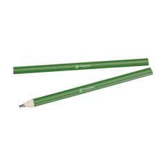 Vue Menuisier crayon de menuisier de couleur vert| Krokrodeal