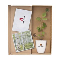 Vue Treemore Arbres prêts-à-poster le Bouleau de couleur -| Krokrodeal