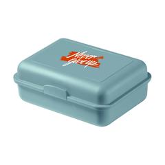 Vue LunchBreak Eco lunchbox boîte à lunch de couleur vert| Krokrodeal