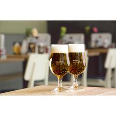 Vue Munich Verre à bière 370 ml de couleur translucide| Krokrodeal