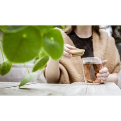 Vue Alba verre à double paroi de couleur translucide| Krokrodeal