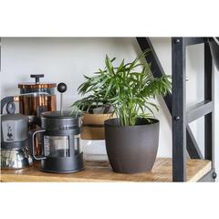 Vue Coffee Flowerpot pot de fleurs de couleur marron| Krokrodeal