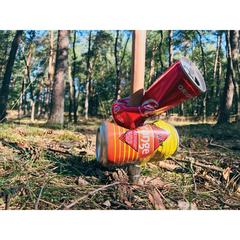 Vue CleanWalk Walkingstick bâton de marche de couleur marron| Krokrodeal
