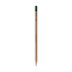 Vue Sproutworld Sharpened Pencil crayon taillé de couleur -| Krokrodeal