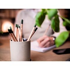 Vue Sproutworld Sharpened Pencil crayon taillé de couleur -| Krokrodeal