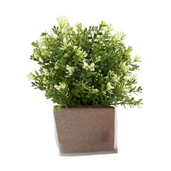 Green Seed Bags graines de fleurs publicitaire pas cher