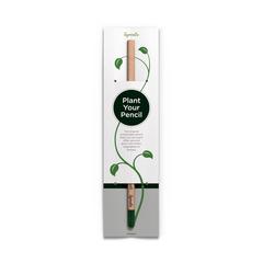Vue Carte d'en-tête unique pour le crayon Sproutworld de couleur beige| Krokrodeal