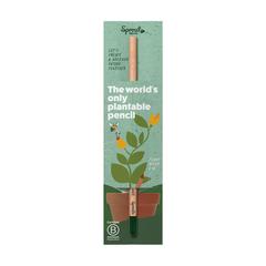 Vue Carte d'en-tête unique pour le crayon Sproutworld de couleur vert| Krokrodeal