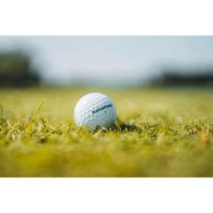 Vue Tomorrow golf Single Pack Recycled Golf Balls de couleur blanc| Krokrodeal