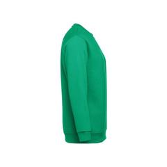 Vue Sweat unisexe en coton et polyester - Thc delta de couleur vert| Krokrodeal