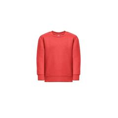 Vue Sweat-shirt pour enfants en coton et polyester recyclés - Thc delta kids de couleur rouge| Krokrodeal