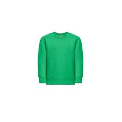 Vue Sweat-shirt pour enfants en coton et polyester recyclés - Thc delta kids de couleur vert| Krokrodeal
