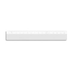 Vue générale Règle PS 15 cm - William | Krokrodeal