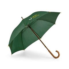 Vue Parapluie en polyester 190T - Betsey de couleur vert| Krokrodeal