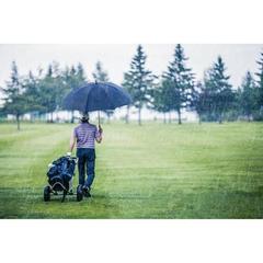 Vue générale Parapluie en polyester 190T - Roberto | Krokrodeal