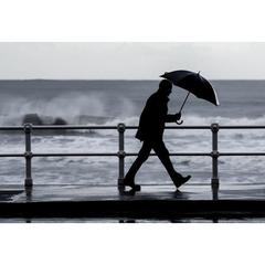 Vue générale Parapluie en pongee 190T avec ouverture automatique - Albert | Krokrodeal