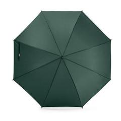 Vue Parapluie en pongee PET (100% rPET) avec ouverture automatique - Apolo de couleur vert| Krokrodeal