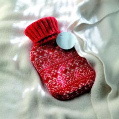 Vue Bouillotte 310ml - Aalborg de couleur rouge| Krokrodeal