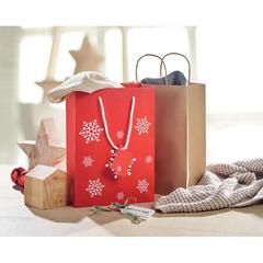 Vue Sac cadeau moyen format - Bossa medium de couleur rouge| Krokrodeal