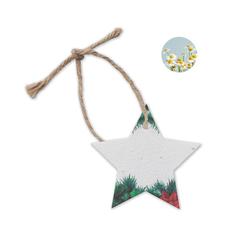 Vue Décoration en papier semences - Starseed de couleur blanc| Krokrodeal