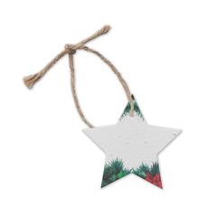 Vue Décoration en papier semences - Starseed de couleur blanc| Krokrodeal