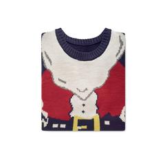 Vue Pull de Noël S/M - Shimas de couleur bleu| Krokrodeal