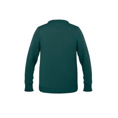 Vue Pull de Noël S/M - Shimas de couleur vert| Krokrodeal