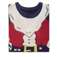 Vue Pull de Noël L/XL - Shimas de couleur bleu| Krokrodeal