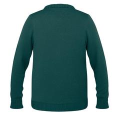Vue Pull de Noël L/XL - Shimas de couleur vert| Krokrodeal