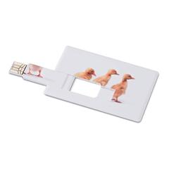 Vue Creditcard. USB flash 32GB - Memorama de couleur blanc| Krokrodeal