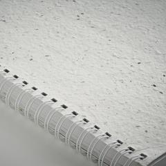 Vue Carnet A5 couv. papier semence - Seed ring de couleur blanc| Krokrodeal